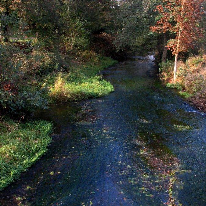 AUTOMNE013 675X675 | Espace Eichel En images Forbach 0